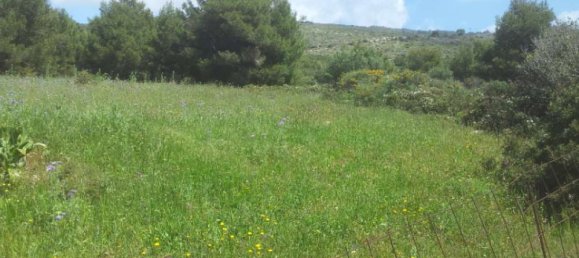  Hotel in Zakynthos, Greece No. 542 4