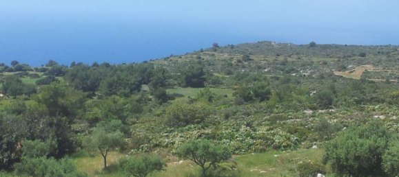  Hotel in Zakynthos, Greece No. 542 12