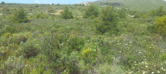  Hotel in Zakynthos, Greece No. 542 7