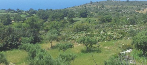  Hotel in Zakynthos, Greece No. 542 13