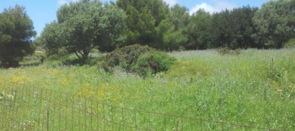  Hotel in Zakynthos, Greece No. 542 14