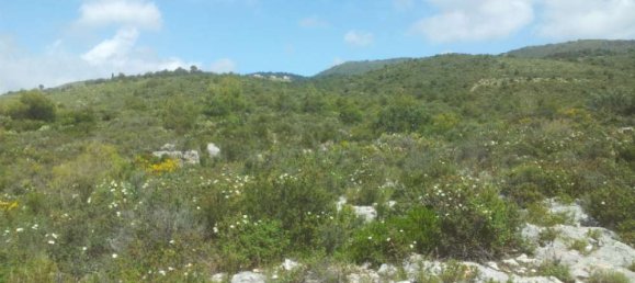  Hotel in Zakynthos, Greece No. 542 10