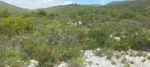  Hotel in Zakynthos, Greece No. 542 6