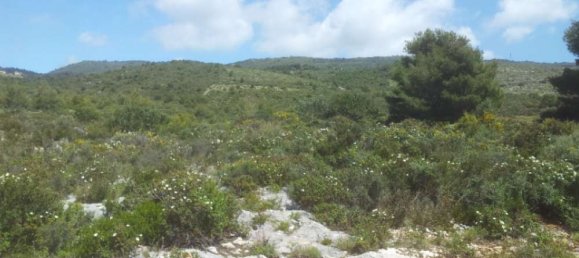  Hotel in Zakynthos, Greece No. 542 16