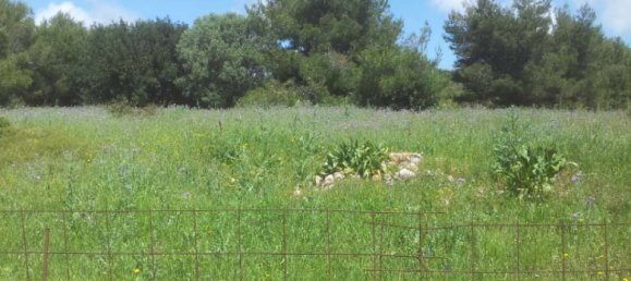  Hotel in Zakynthos, Greece No. 542 15