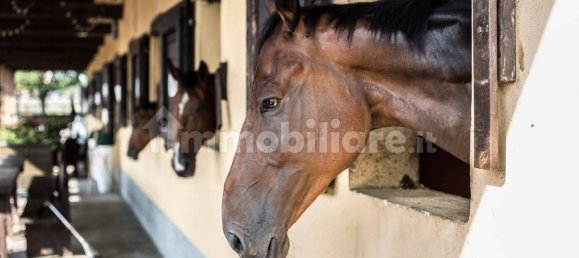 Отель, гостиница с 5 комнатами в Аграте Брианца, Италия № 312351 37