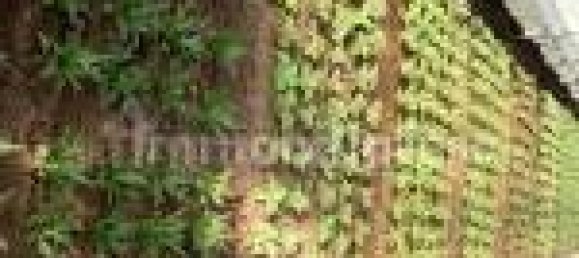 Отель, гостиница с 5 комнатами в Аграте Брианца, Италия № 312351 25