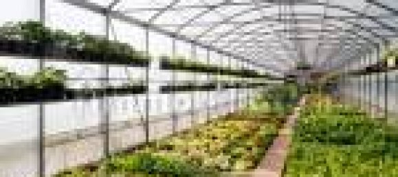 Отель, гостиница с 5 комнатами в Аграте Брианца, Италия № 312351 30