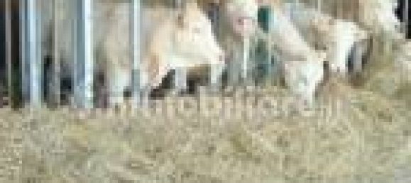 Отель, гостиница с 5 комнатами в Аграте Брианца, Италия № 312351 20