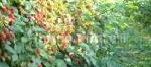 Отель, гостиница с 5 комнатами в Аграте Брианца, Италия № 312351 21