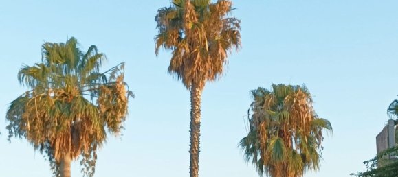 3-salle Appartement à Terracina, Italy No. 265137 42