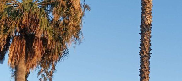 3-salle Appartement à Terracina, Italy No. 265137 40