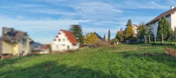 Land in Rhein-Neckar-Kreis, Germany No. 272826 2