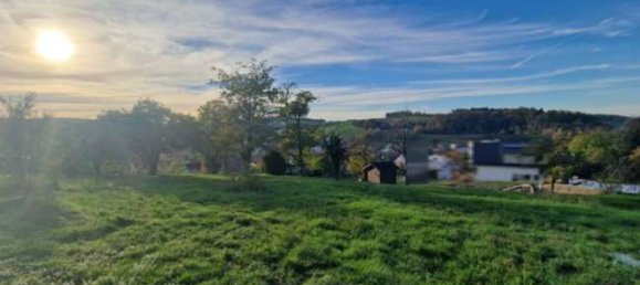 Land in Rhein-Neckar-Kreis, Germany No. 272826 3