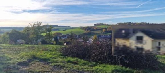 Land in Rhein-Neckar-Kreis, Germany No. 272826 4