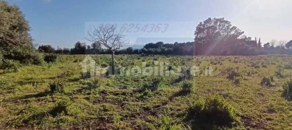 Земельный участок 10000м² в Сиракузы, Италия № 243664 4