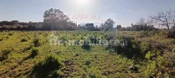 Земельный участок 10000м² в Сиракузы, Италия № 243664 3