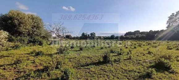 Земельный участок 10000м² в Сиракузы, Италия № 243664 2