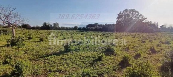 Земельный участок 10000м² в Сиракузы, Италия № 243664 5