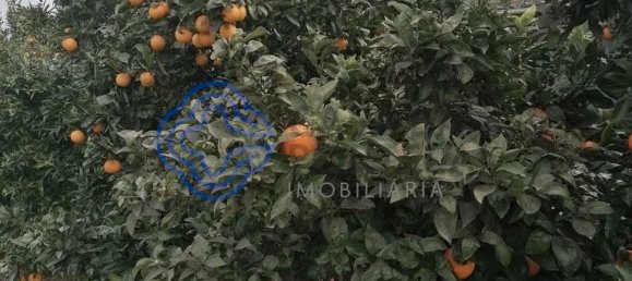 Terrain à Ermesinde, Portugal 2900m² No. 37971 7