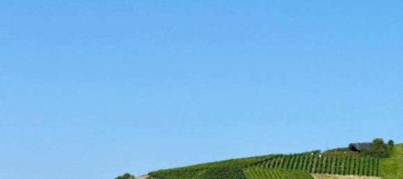 7-salle Maison de ville à Baden-Baden, Germany No. 302478 23