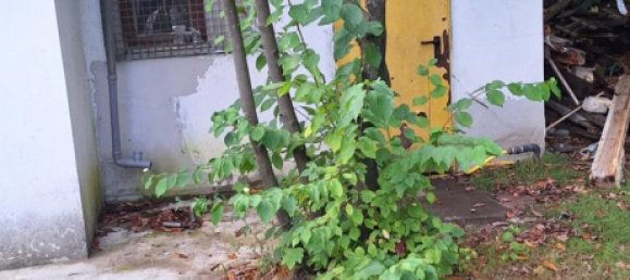 Grundstück in Bremen, Germany, Nr. 309818 13