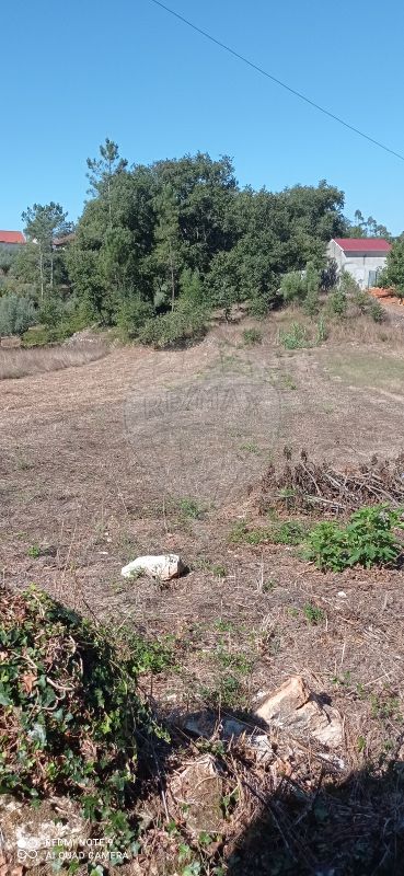 2 Schlafzimmer Haus in Ansiao, Portugal, Nr. 21946