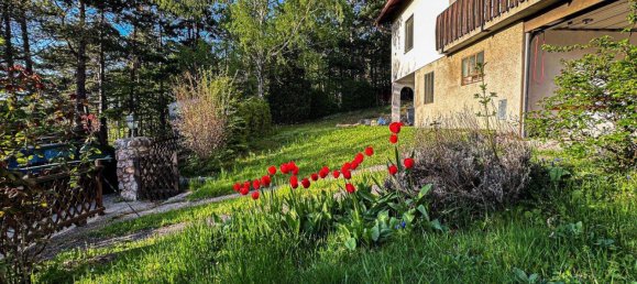 4 rooms House in Winzendorf-Muthmannsdorf, Austria No. 238408 2