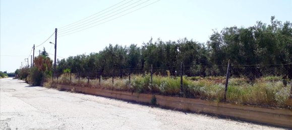 6400m² Hotel in Polygyros, Greece No. 5556 5