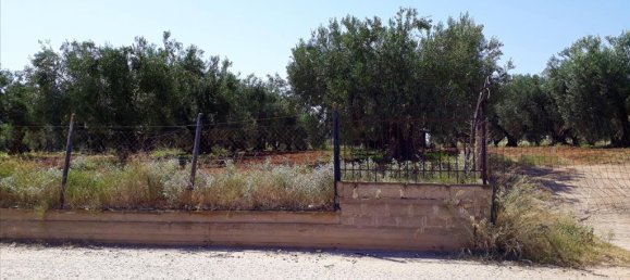 6400m² Hotel in Polygyros, Greece No. 5556 6