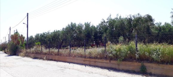 6400m² Hotel in Polygyros, Greece No. 5556 8