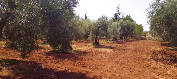 6400m² Hotel in Polygyros, Greece No. 5556 2