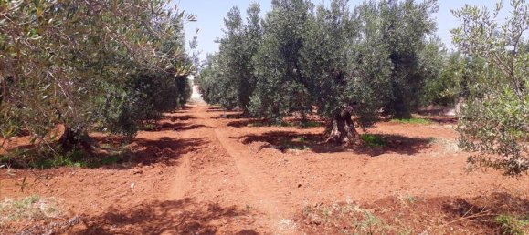 6400m² Hotel in Polygyros, Greece No. 5556 3