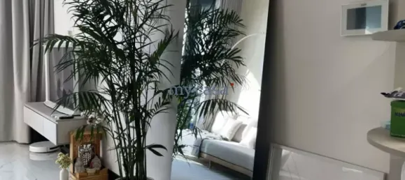 1 bedroom Apartment in Thu Duc, Vietnam No. 8190 12