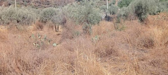  قطعة أرض في Belpasso, Italy رقم 381569 2