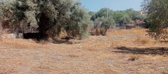  قطعة أرض في Belpasso, Italy رقم 381569 7