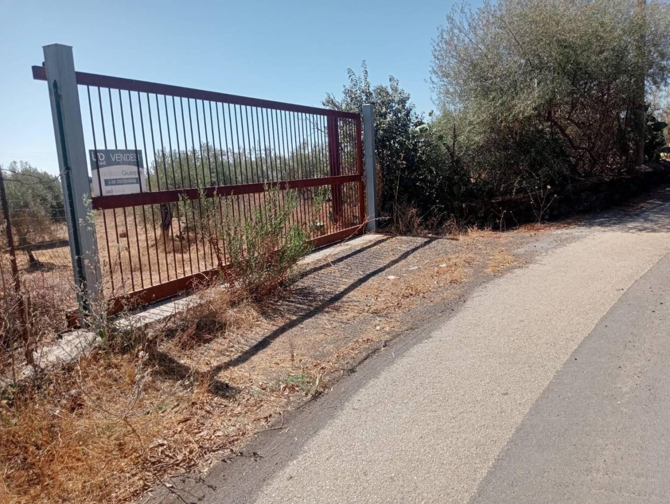  قطعة أرض في Belpasso, Italy رقم 381569