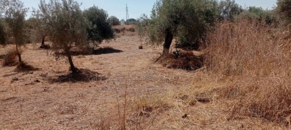  قطعة أرض في Belpasso, Italy رقم 381569 5