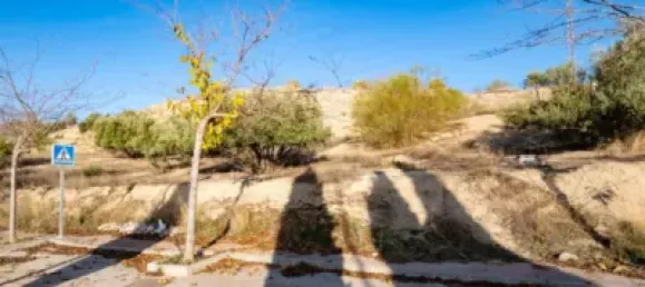  Land in Alfacar, Spain No. 175237 3