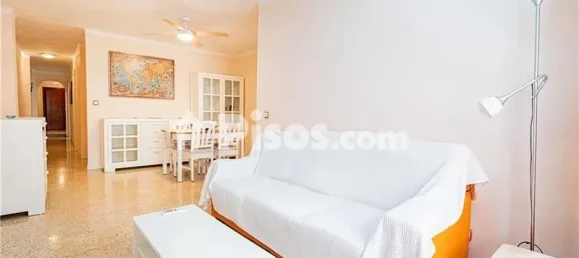 4 غرف نوم شقة في Palma de Majorca, Spain رقم 173893 31