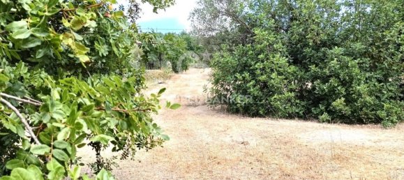 Casa de 4 dormitorios en Modica, Italy No. 310860 14