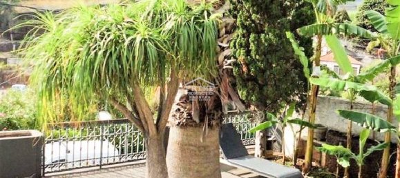 5 غرف نوم فيلا في Funchal, Portugal رقم 140322 38