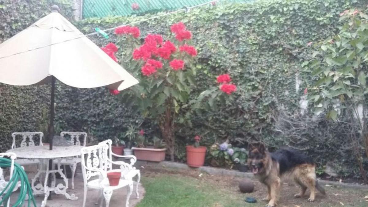 3 غرف نوم منزل في Naucalpan de Juarez, Mexico رقم 207754