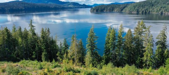 Studio in British Columbia, Canada No. 1164 4