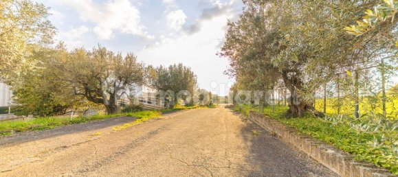 Almacén de 5 habitaciónes en Ariccia, Italy No. 106428 41