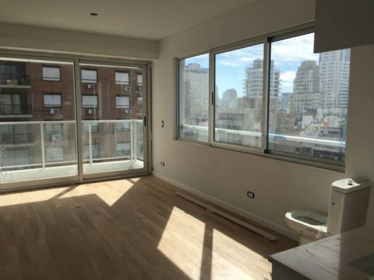 Studio in Palermo, Argentina No. 65960