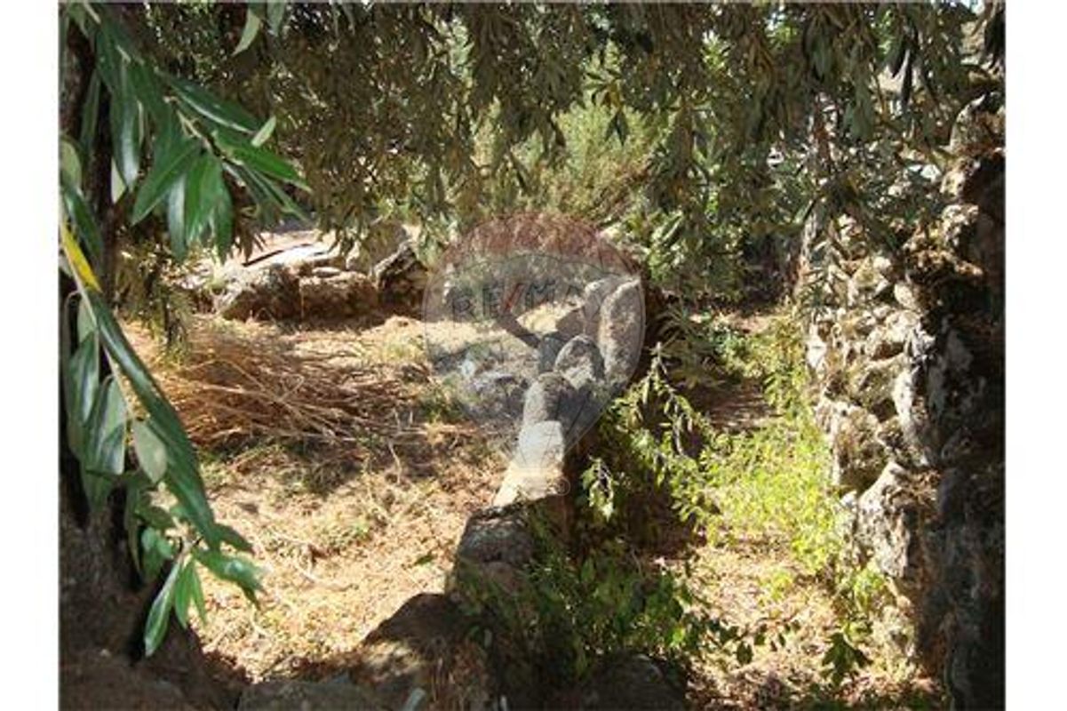 1 bedroom House in Oledo, Portugal No. 32017