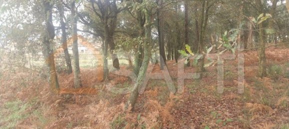 4959m² Land in Moncao, Portugal No. 75534 4