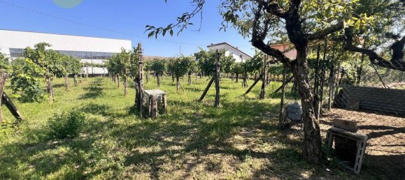 5 bedrooms House in Cerea, Italy No. 322741 13