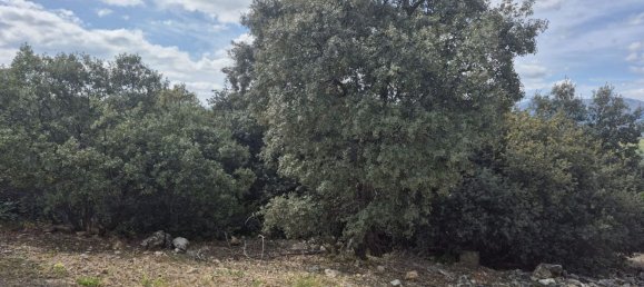  Land in Venturada, Spain No. 159397 7